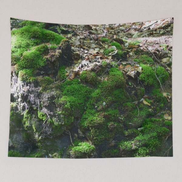 Item preview, Moss designed and sold by Linnys-Designs.