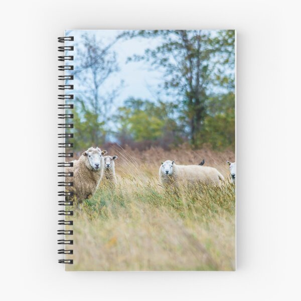 Item preview, counting sheep designed and sold by KennyBImages899.