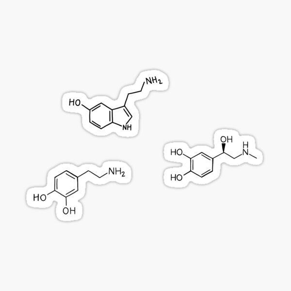 Neurotransmitters Sticker