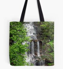 Great Ganoga Falls Through The Trees Tote Bag