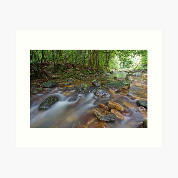 Terania Creek, Nightcap National Park, 15 March 2012. Art Print
