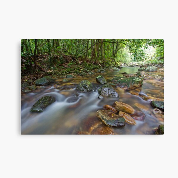 Item preview, Terania Creek, Nightcap National Park, 15 March 2012. designed and sold by Robert Ashdown.
