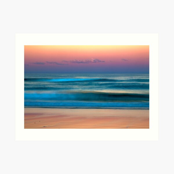 Cooloola National Park, dusk, 9 June 2009. Art Print