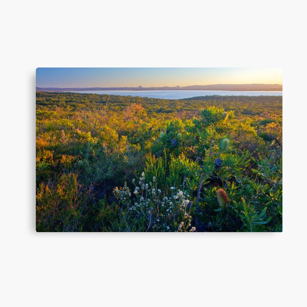 Cooloola National Park, looking west over Lake Cootharaba, 11 June 2009. Canvas Print