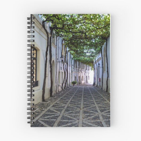 Item preview, The Most Beautiful Street in the World designed and sold by Robert Kelch, M.D..