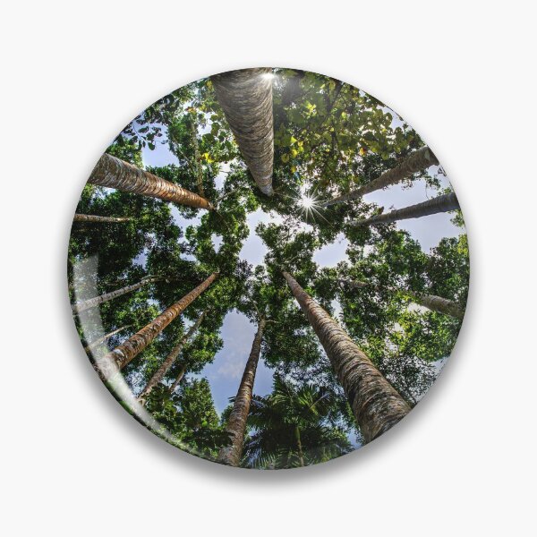 Item preview, Look up through the tall trees and see blue sky, Tropical North Queensland, Australia designed and sold by HTPOP.