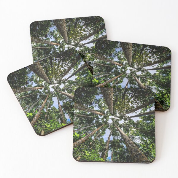 Item preview, Look up through the tall trees and see blue sky, Tropical North Queensland, Australia designed and sold by HTPOP.