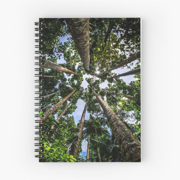 Item preview, Look up through the tall trees and see blue sky, Tropical North Queensland, Australia designed and sold by HTPOP.