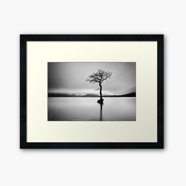 Item preview, The Tree, Loch Lomond designed and sold by Grant Glendinning.