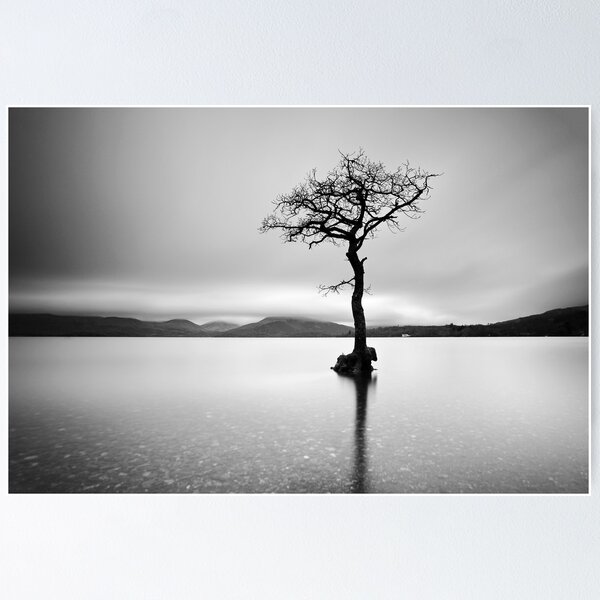 Item preview, The Tree, Loch Lomond designed and sold by Grant Glendinning.