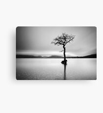 The Tree, Loch Lomond Canvas Print