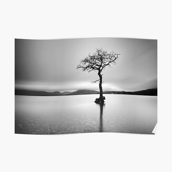 The Tree, Loch Lomond Poster