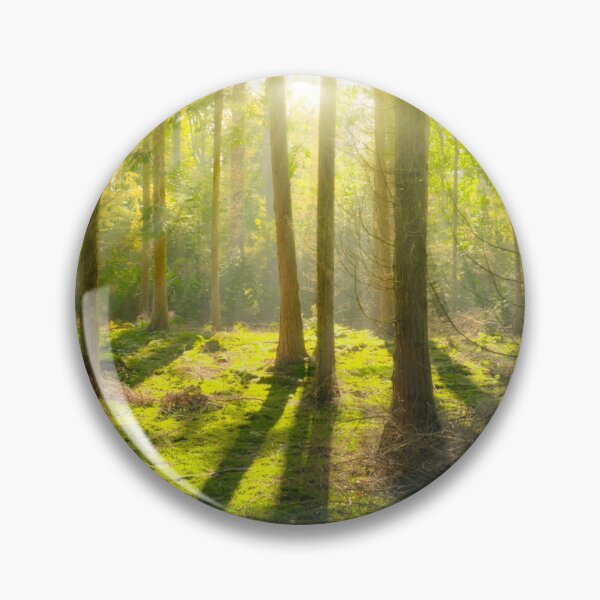 Item preview, SUNSHINE IN THE FOREST designed and sold by Eston Kamau.