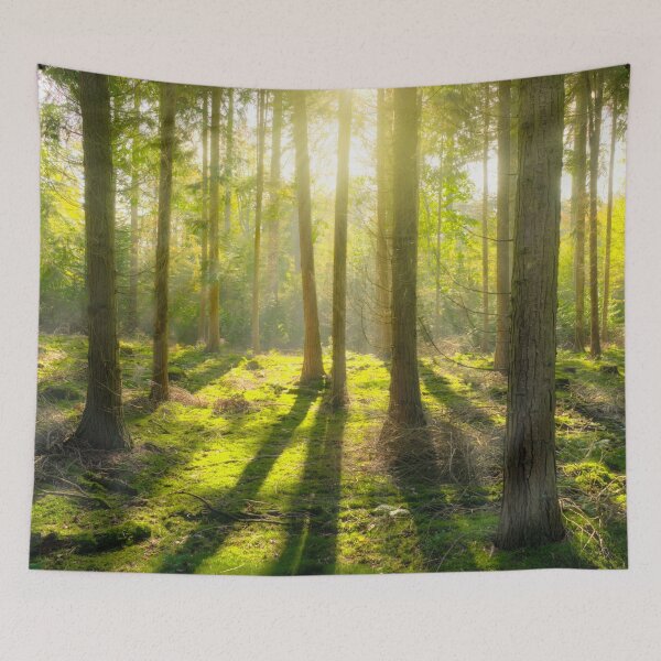 Item preview, SUNSHINE IN THE FOREST designed and sold by Eston Kamau.