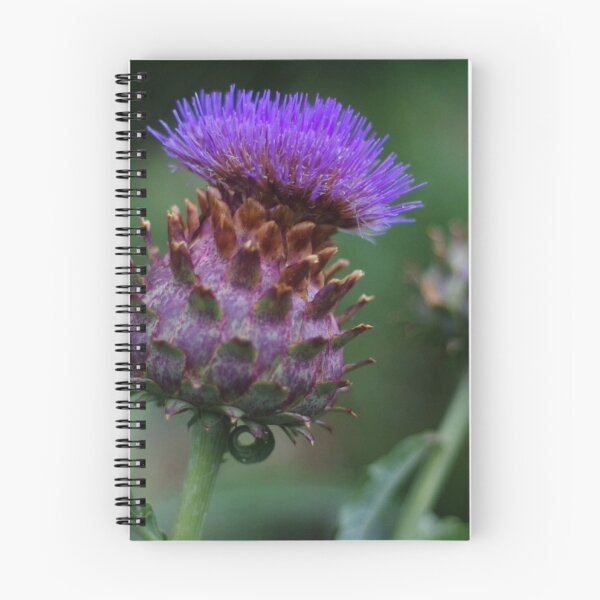 Item preview, Thistle designed and sold by WildPenDesign.