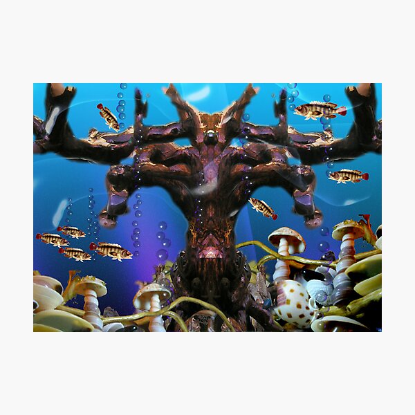 Undersea Treasure from Valxart.com Photographic Print