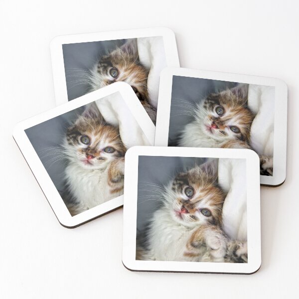 Item preview, Cute kitten designed and sold by ArtemisApollo.