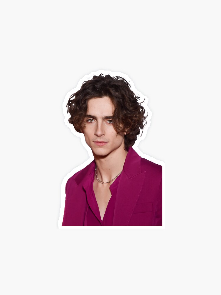timothee chalamet magenta suit” Sticker for Sale by mandimu