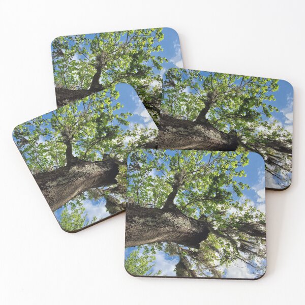 Item preview, Florida Maples designed and sold by Amanda Huggins.