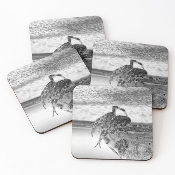 Item preview, © NS My Friend In Monochrome IA. designed and sold by OmarHernandez.