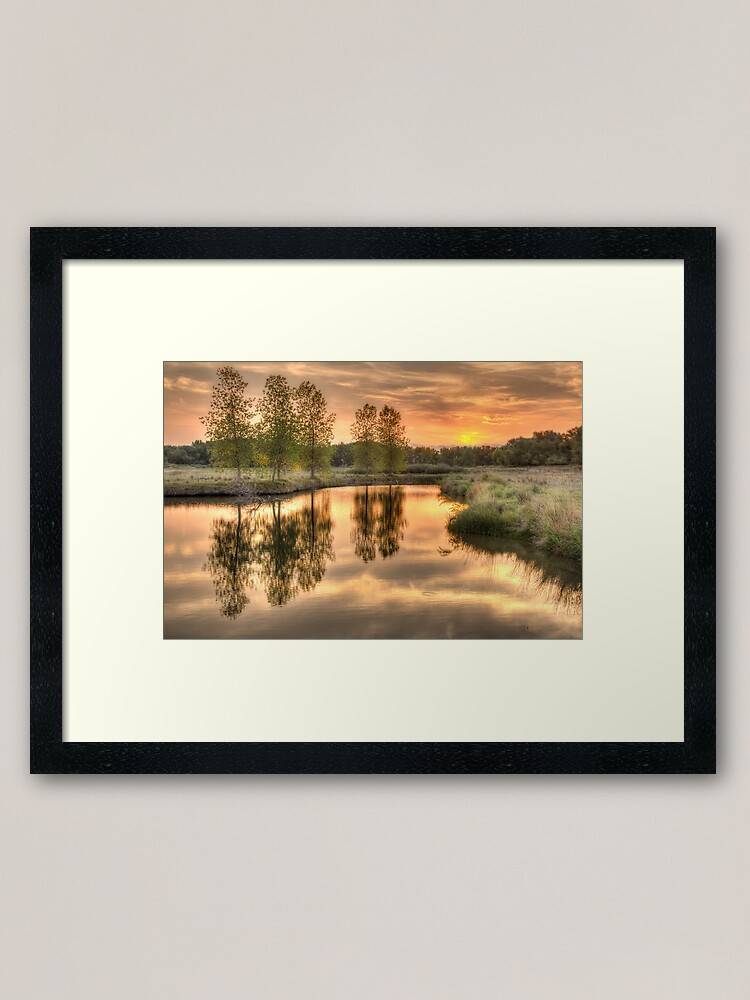 Alternate view of A Late Summer Reflection Framed Art Print