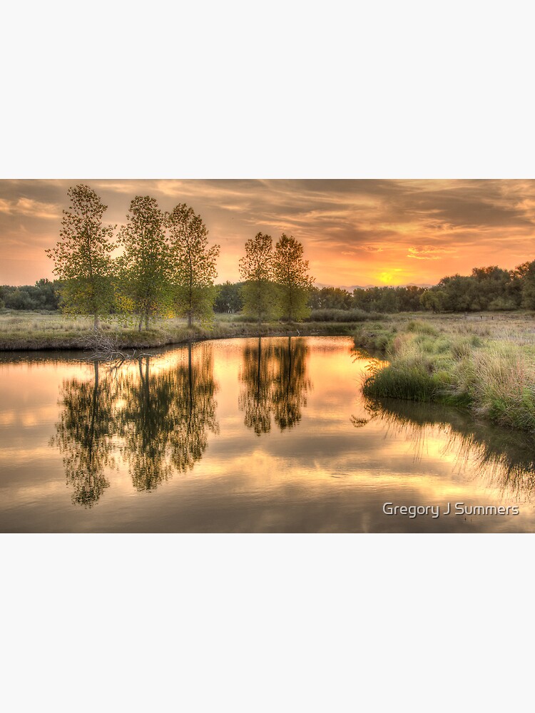 A Late Summer Reflection by nikongreg