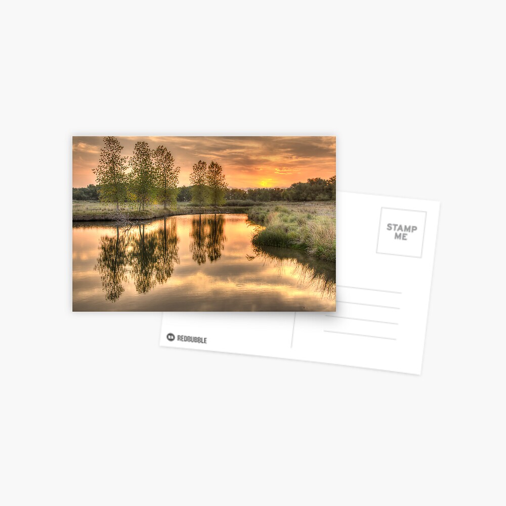 Item preview, Postcard designed and sold by nikongreg.