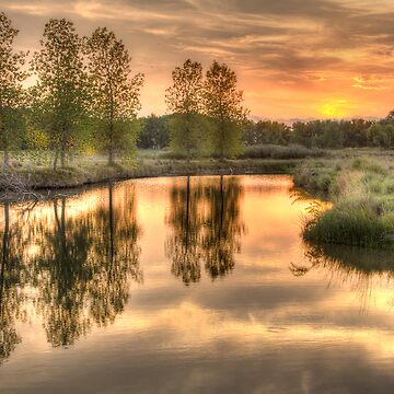 Artwork thumbnail, A Late Summer Reflection by Gregory J Summers