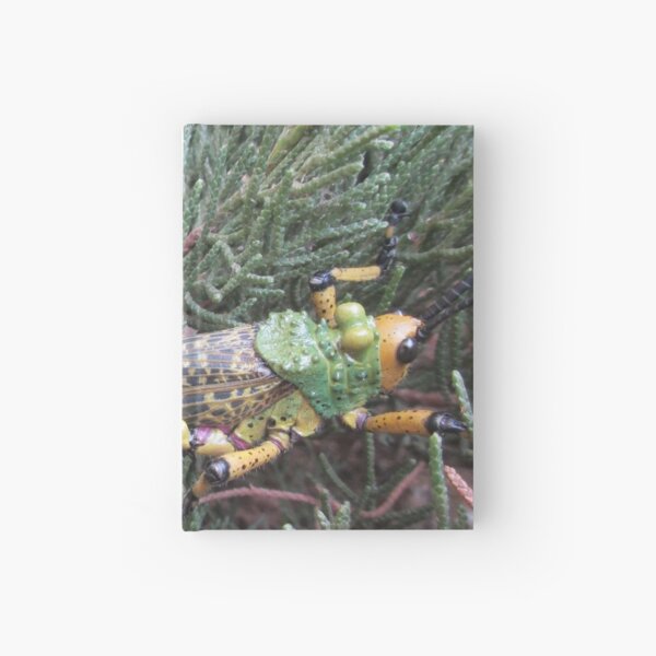 Colourful locust in a bush. Hardcover Journal