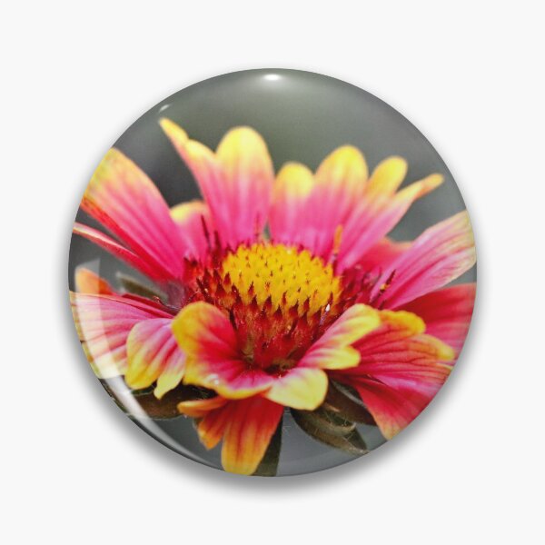 Item preview, Sun in Bloom designed and sold by JulieMaxwell.