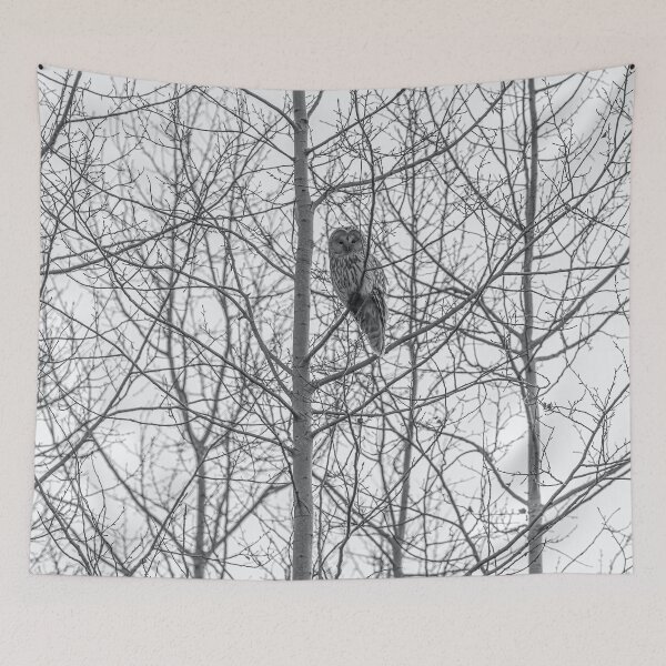 Item preview, WHITE OWL ON A WOODLAND FOREST designed and sold by Eston Kamau.