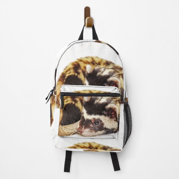 Item preview, Marbled polecat (Vormela peregusna) lie on white. designed and sold by IaroslavB.