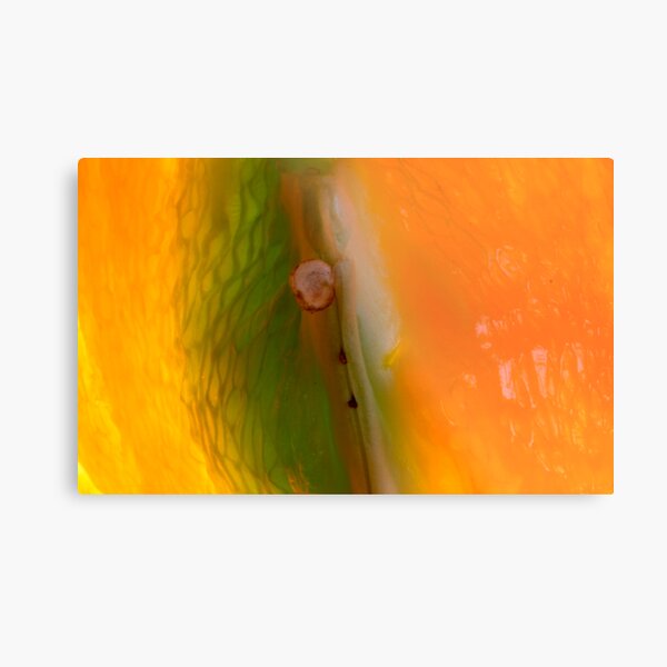 white hot Metal Print