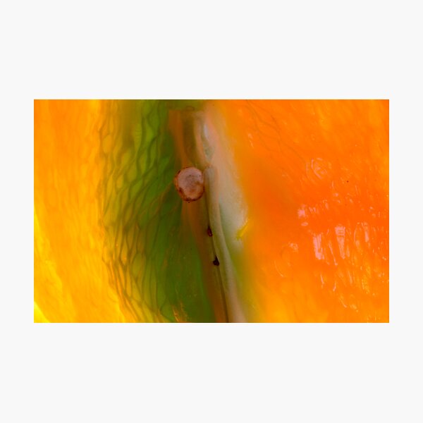 white hot Photographic Print