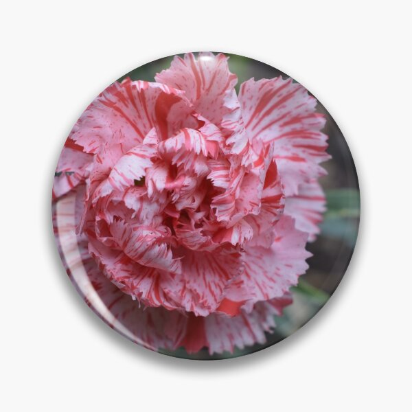 Item preview, Variegated gillyflower of mine designed and sold by TaniaFilipa.