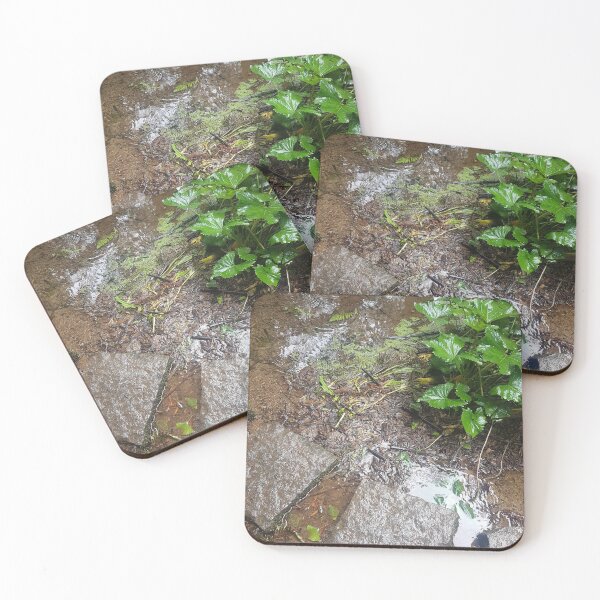 Item preview, Stepping Stones designed and sold by Tim Maidment.