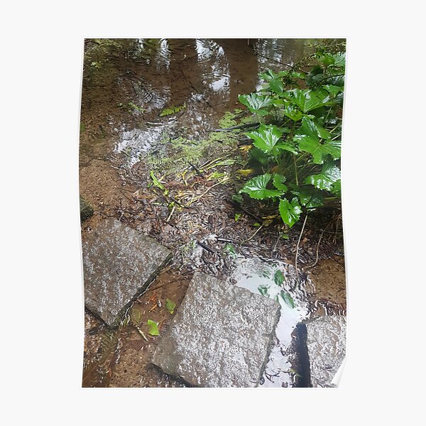 Stepping Stones Poster