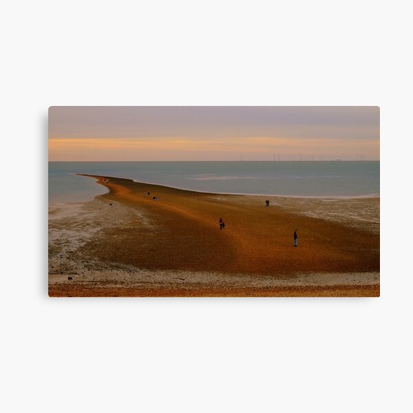 Low tide land Canvas Print