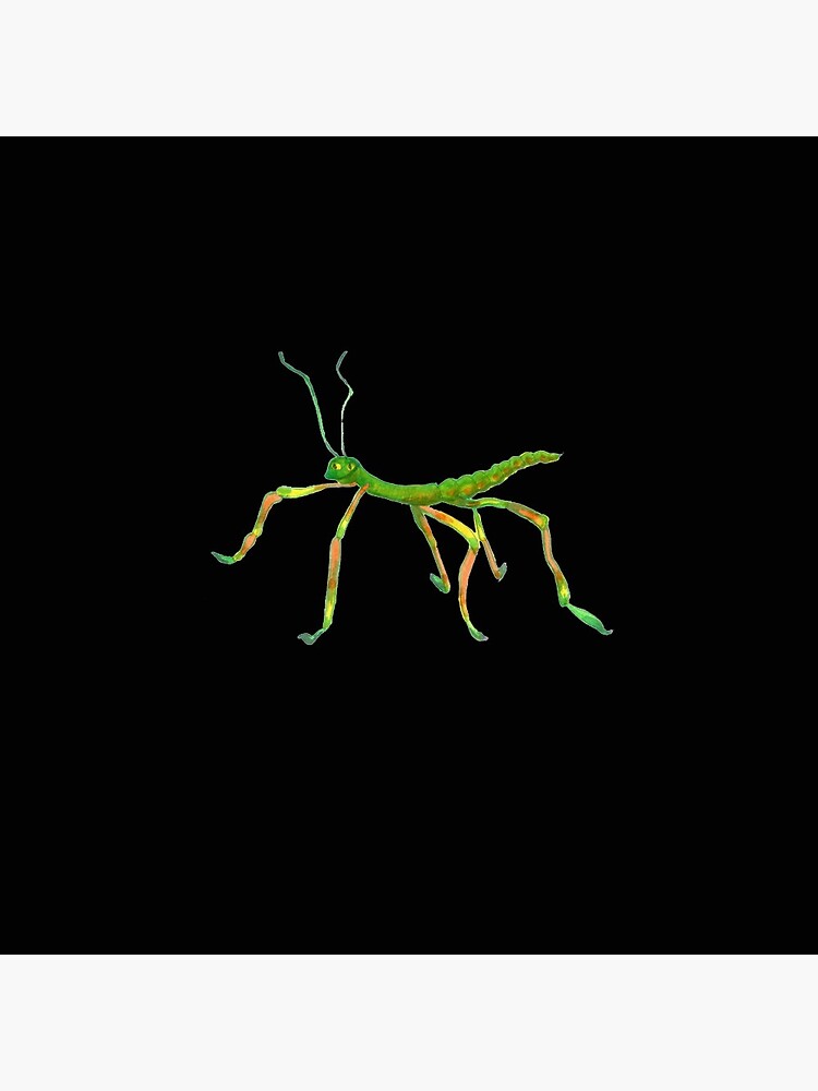 Stick Insect Pins And Buttons Redbubble - roblox arthropoda images