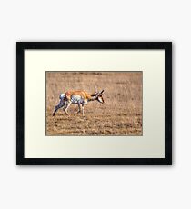 Keep moving Forward Framed Print
