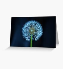 Dandelion flower head Greeting Card