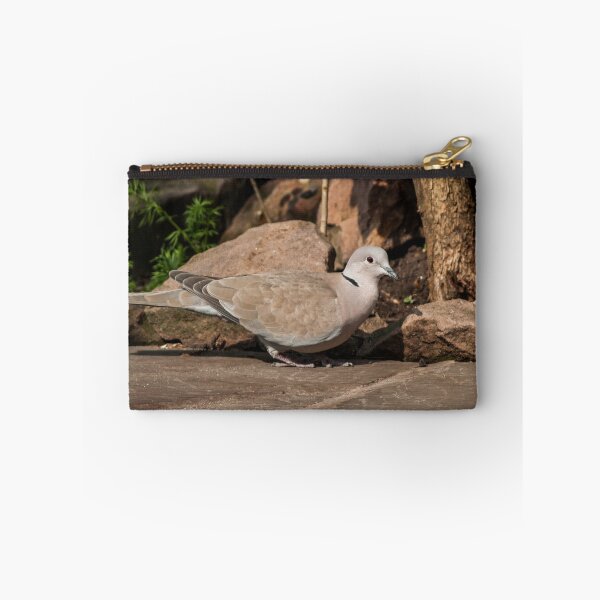 Item preview, Collared Dove on Stone Patio designed and sold by shane22.
