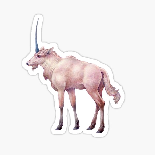 Item preview, Antelope Unicorn Coloured Pencil Illustration designed and sold by Hannah  Schmidt.