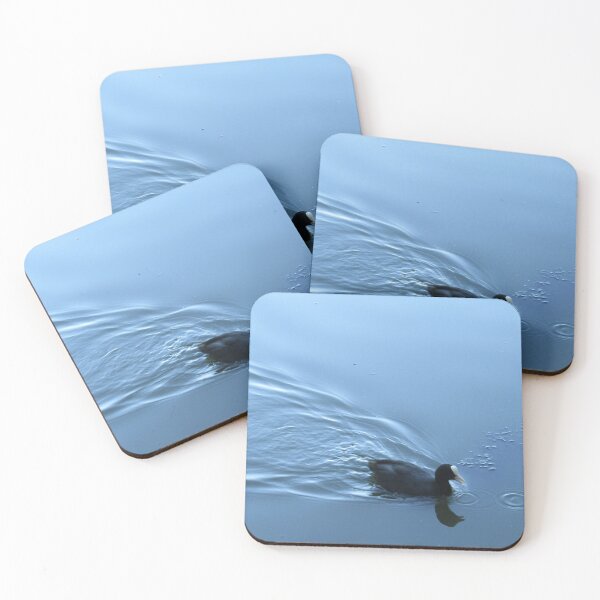 Item preview, A coot on a blue lake designed and sold by joshuarainbird.