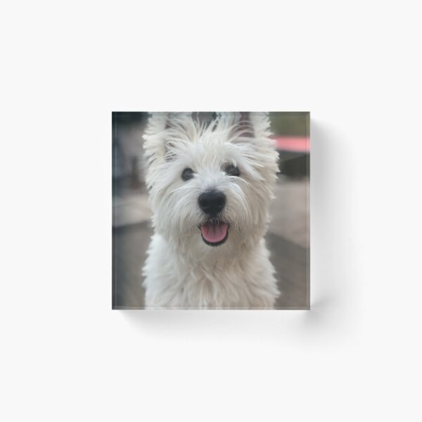 Item preview, Westie  designed and sold by LisaThomasPhoto.