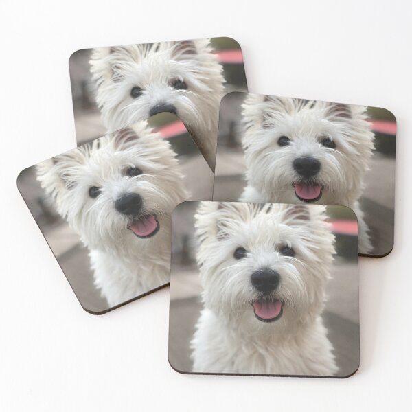 Westie Posavasos (lote de 4)