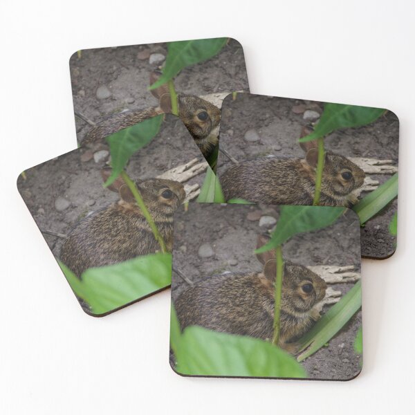 Item preview, Bunny in the Garden  designed and sold by SRosuphotos.