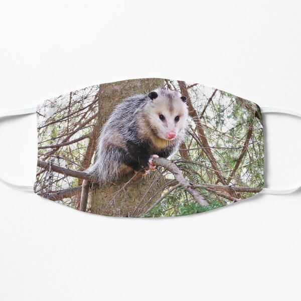 Possum on a Branch Flat Mask
