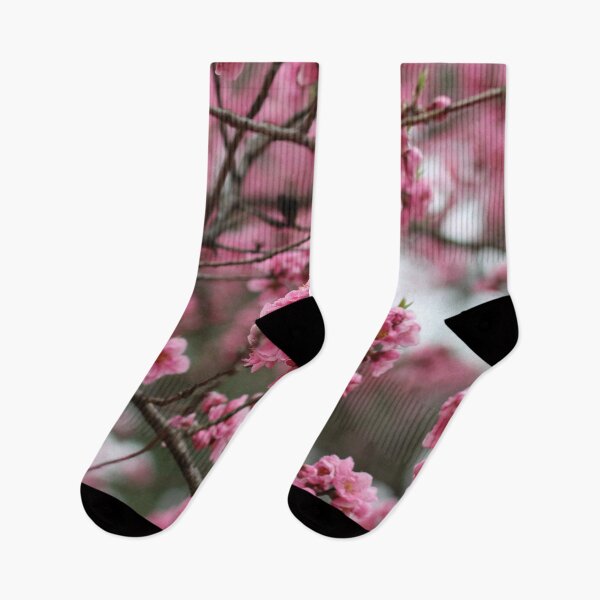 Item preview, Moody Pink Sakura Cherry Blossoms in Japan designed and sold by chelseapearl.