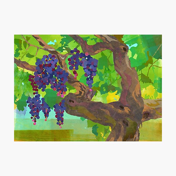 Item preview, Grape Vine Collage designed and sold by Lynnea Washburn.